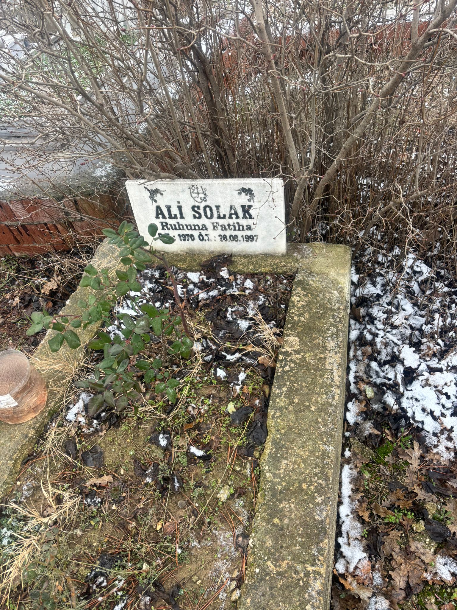 ALİ SOLAK