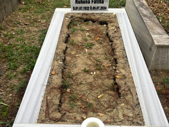 MEHMET PEHLİVANTÜRK