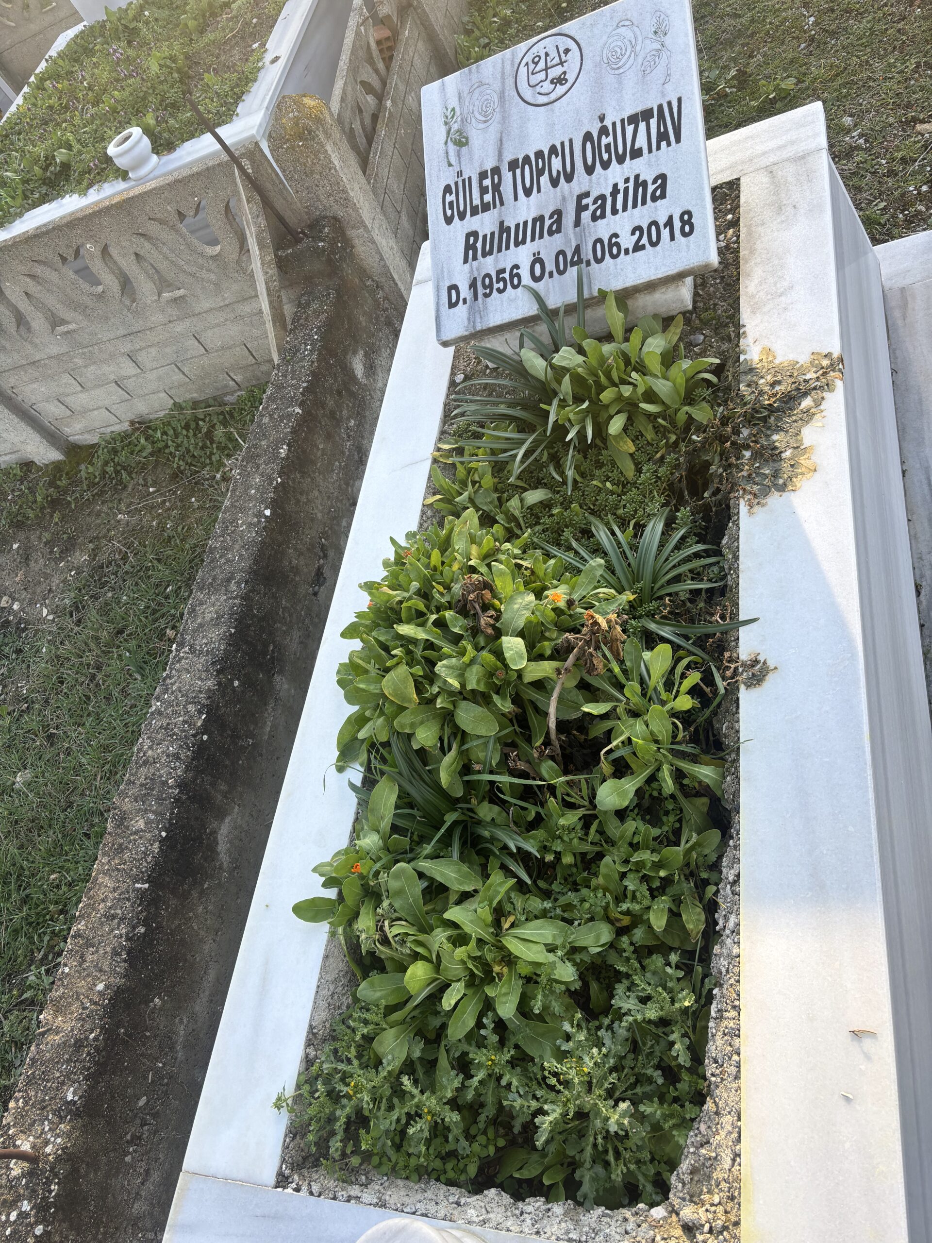 GÜLER TOPÇU OĞUZTAV