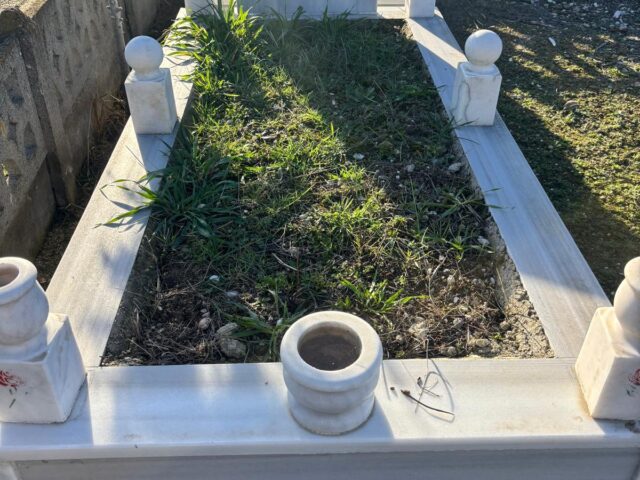 ZEYNEP GÜL BİLİCAN