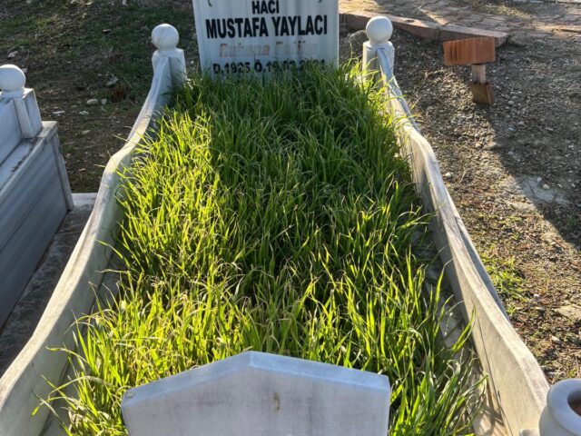 MUSTAFA YAYLACI