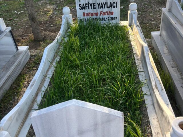 SAFİYE YAYLACI