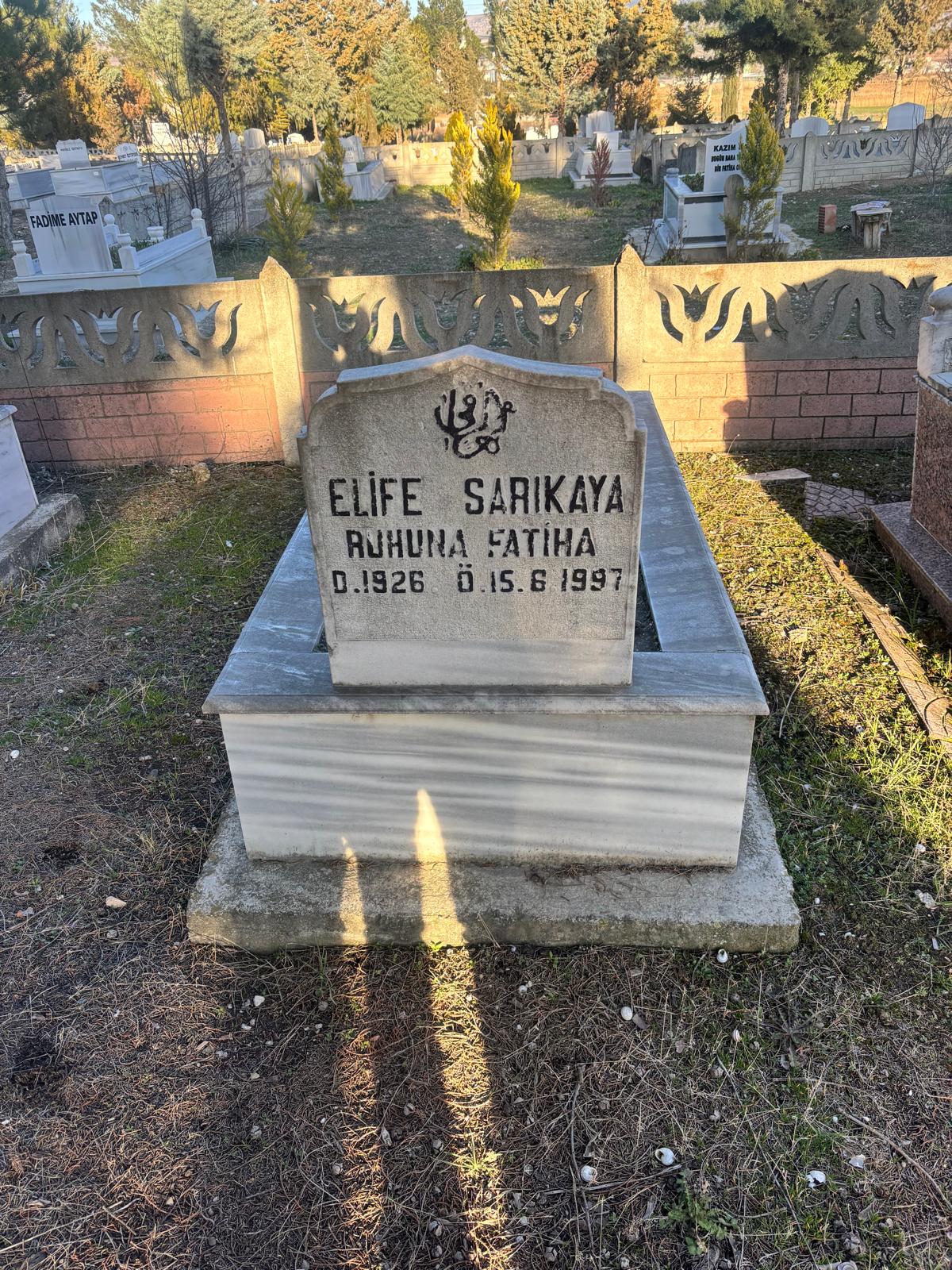 ELİFE SARIKAYA