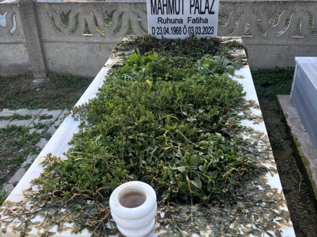 MAHMUT PALAZ
