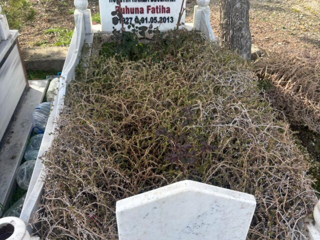 HÜSEYİN HAMZA BECERİKLİ