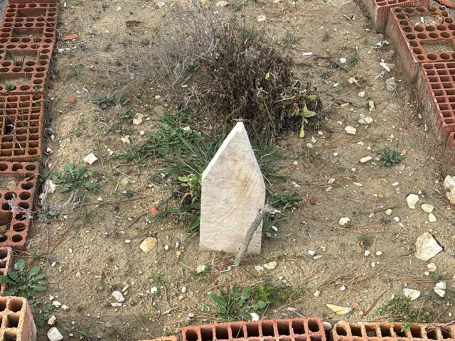 MUZAFFER ÜMİT DEMİRER