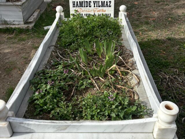 HAMİDE YILMAZ