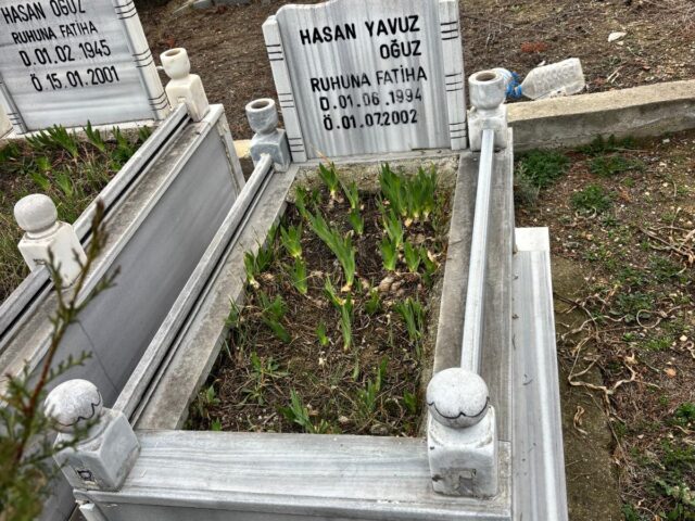 HASAN YAVUZ OĞUZ