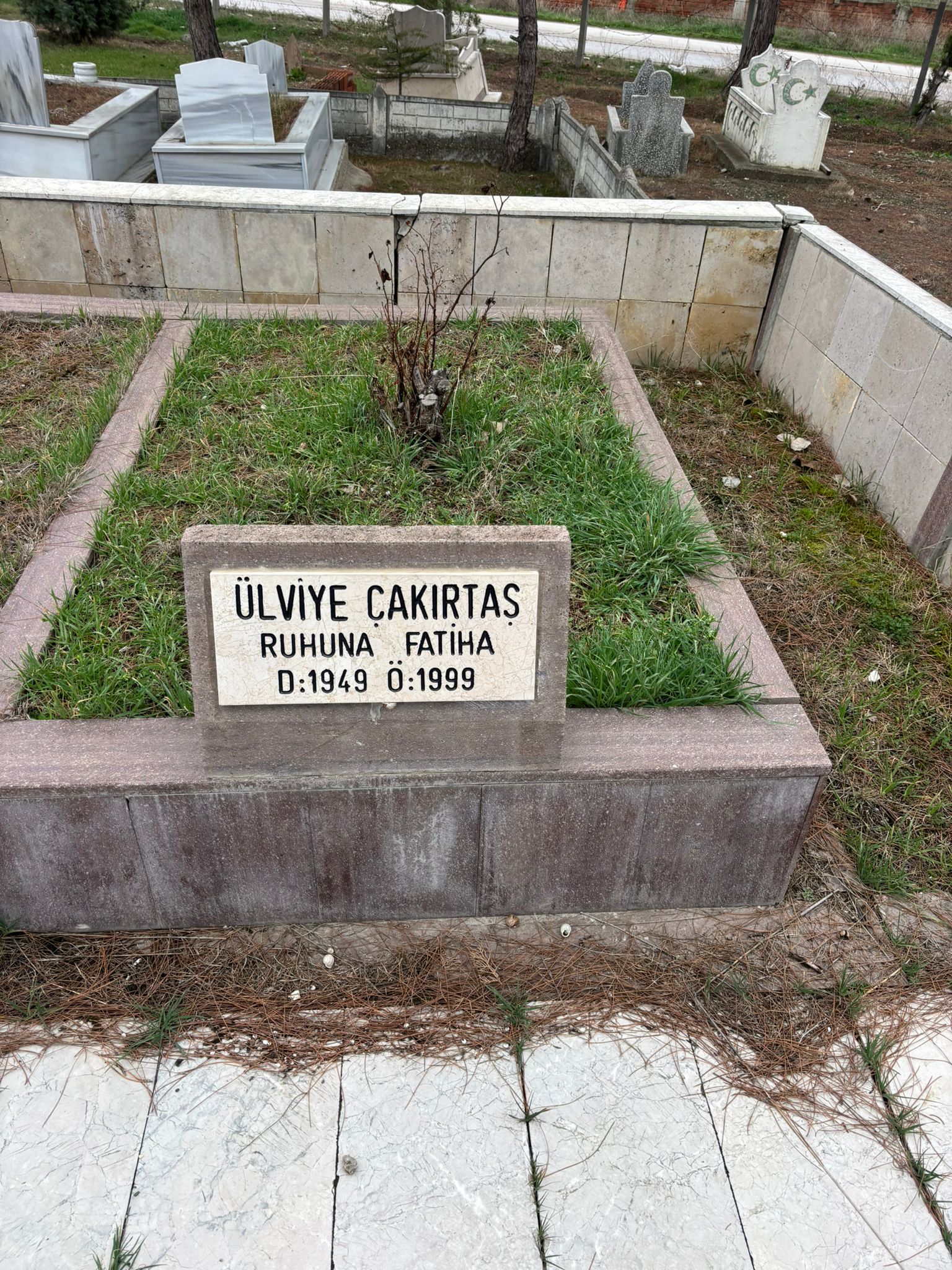 ÜLVİYE ÇAKIRTAŞ