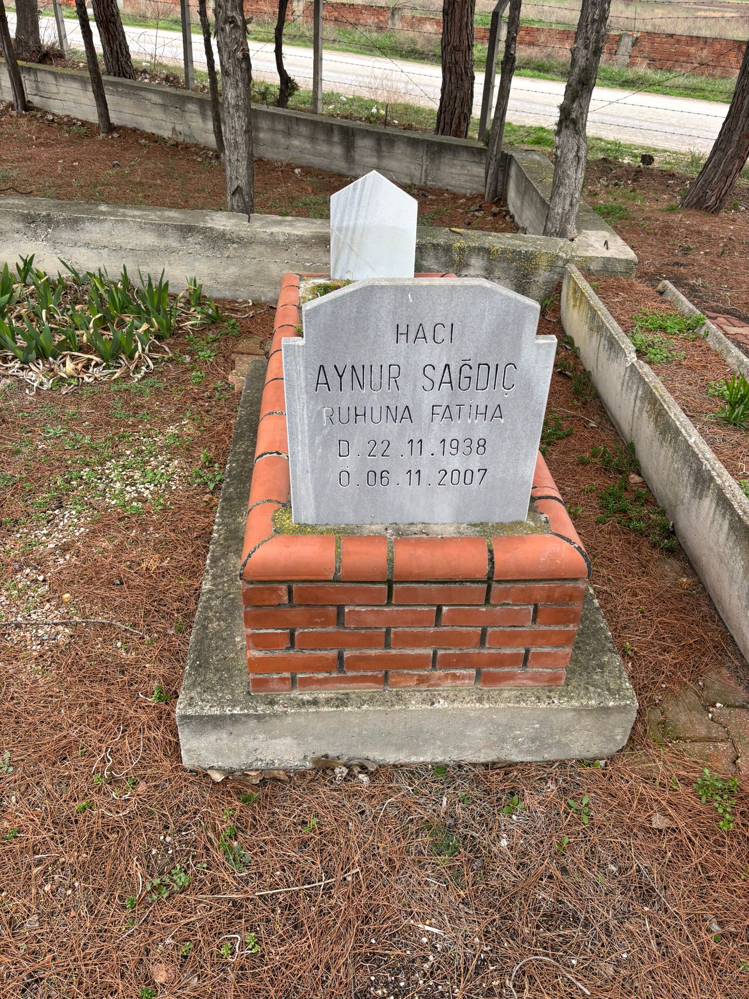 AYNUR SAĞDIÇ