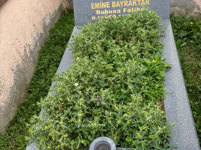 EMİNE BAYRAKTAR