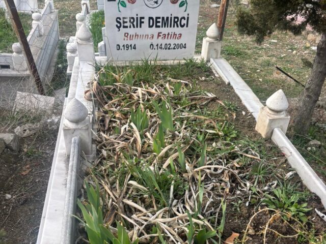 ŞERİF DEMİRCİ
