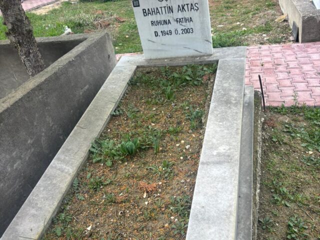 BAHATTİN AKTAŞ