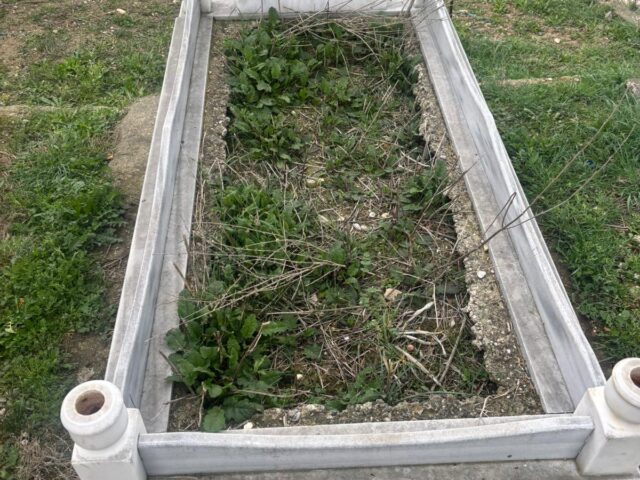 MÜLKİYE PİŞİRGEN