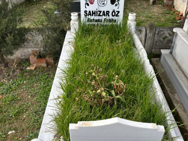 ŞAHİZAR ÖZ KARABULUT