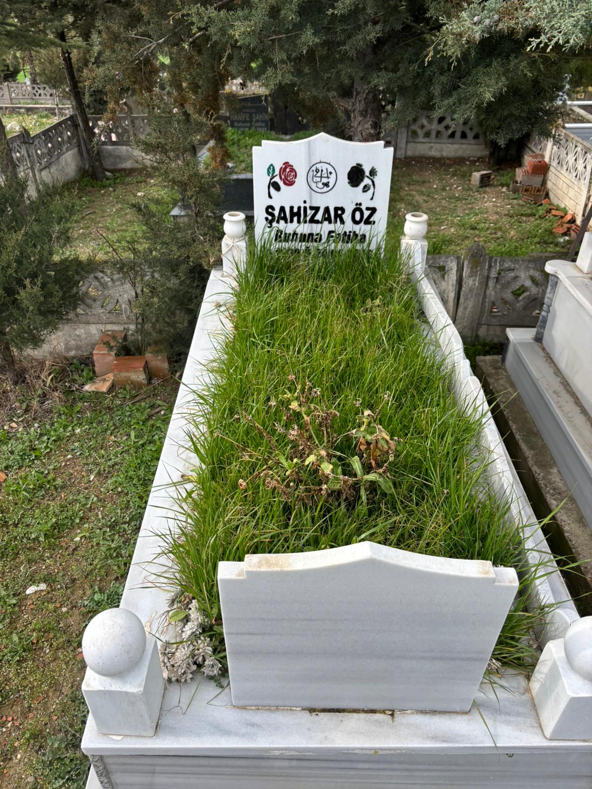 ŞAHİZAR ÖZ KARABULUT