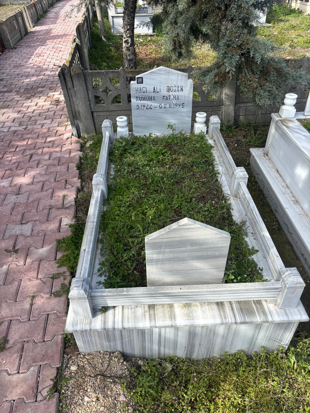 ALİ DOĞAN