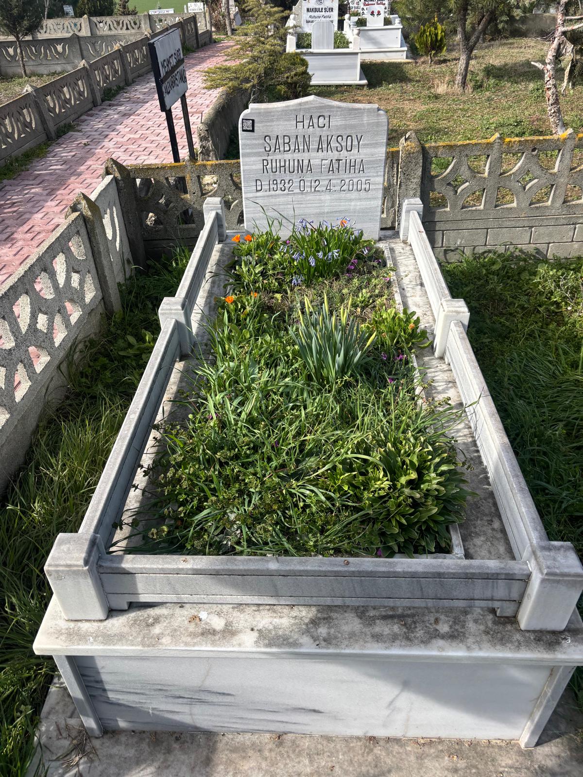 ŞABAN AKSOY