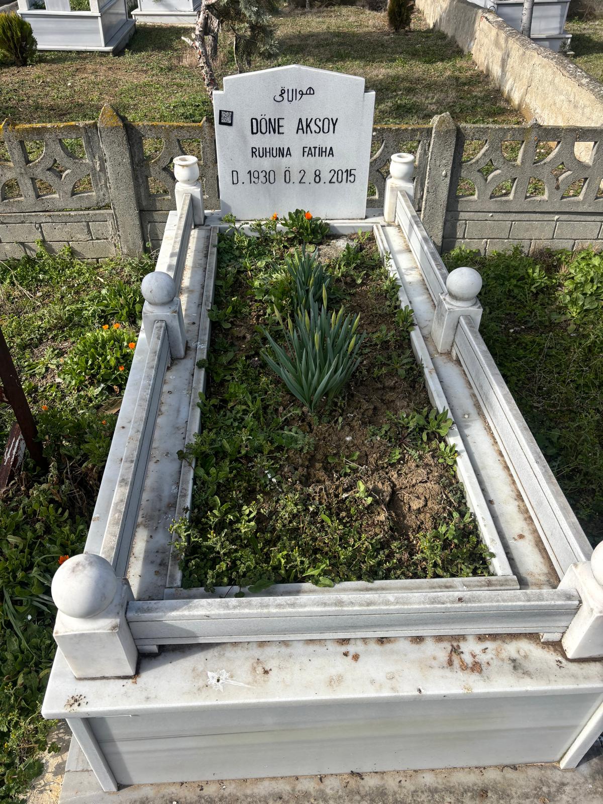 DÖNE AKSOY