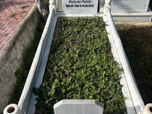 MAKBULE SÜER