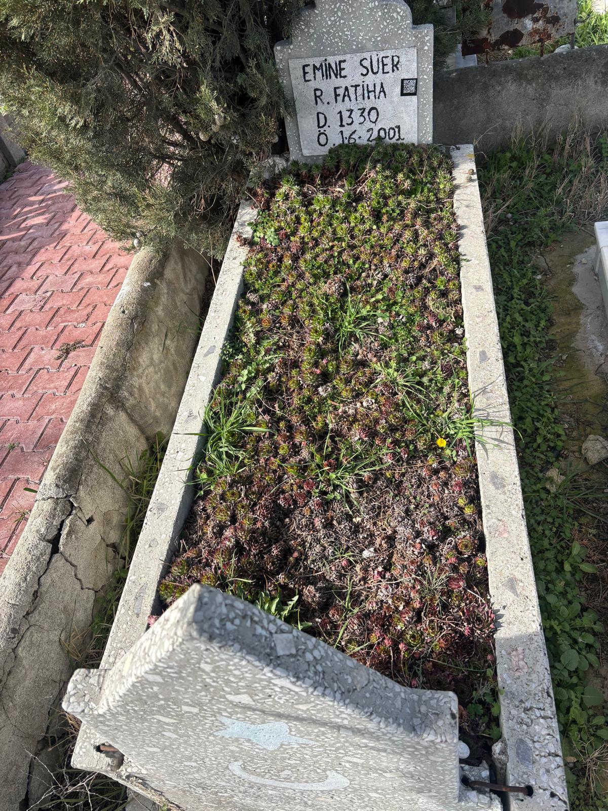 EMİNE SÜER