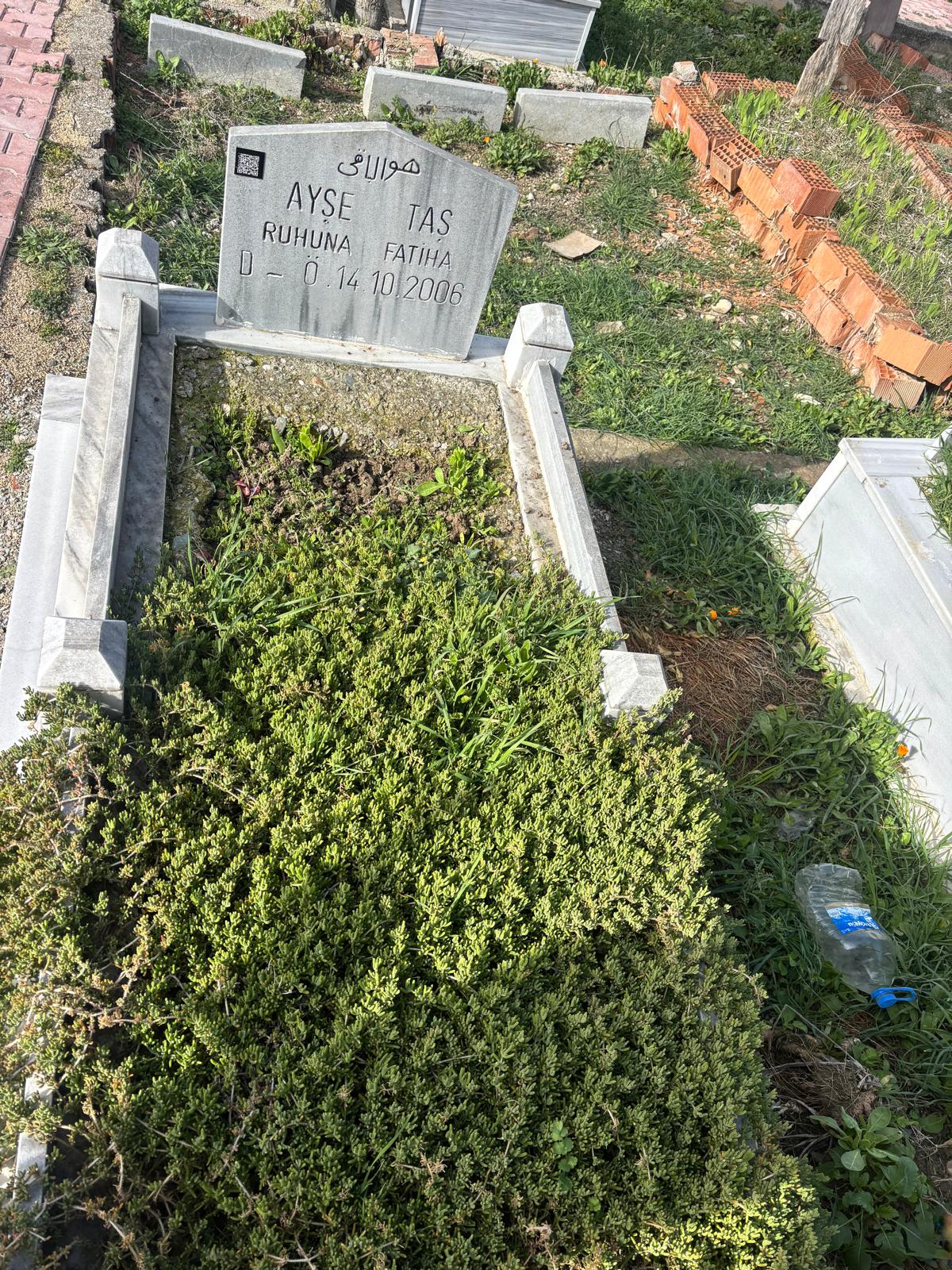 AYŞE TAŞ