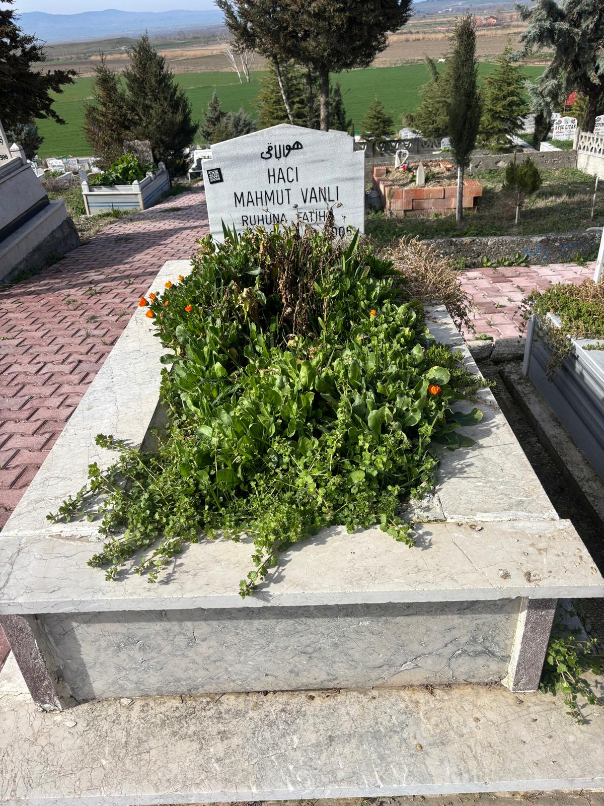 MAHMUT VANLI