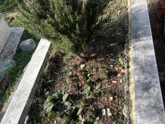 KEZİBAN USTA