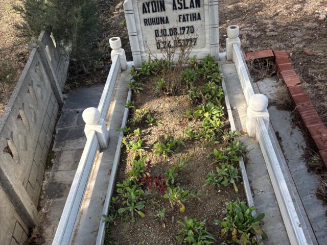 AYDIN ASLAN