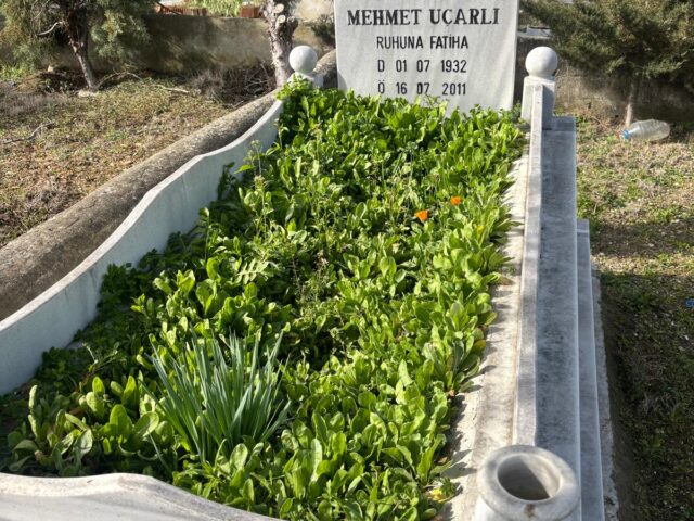 MEHMET UÇARLI
