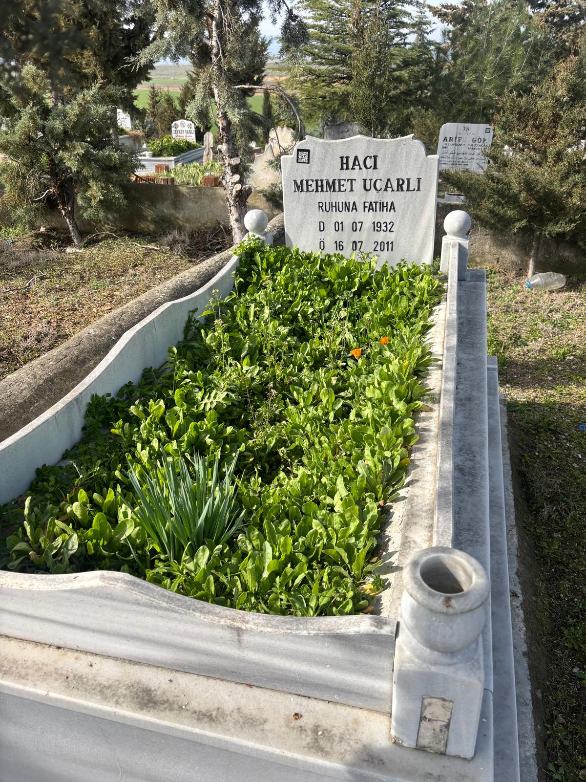 MEHMET UÇARLI