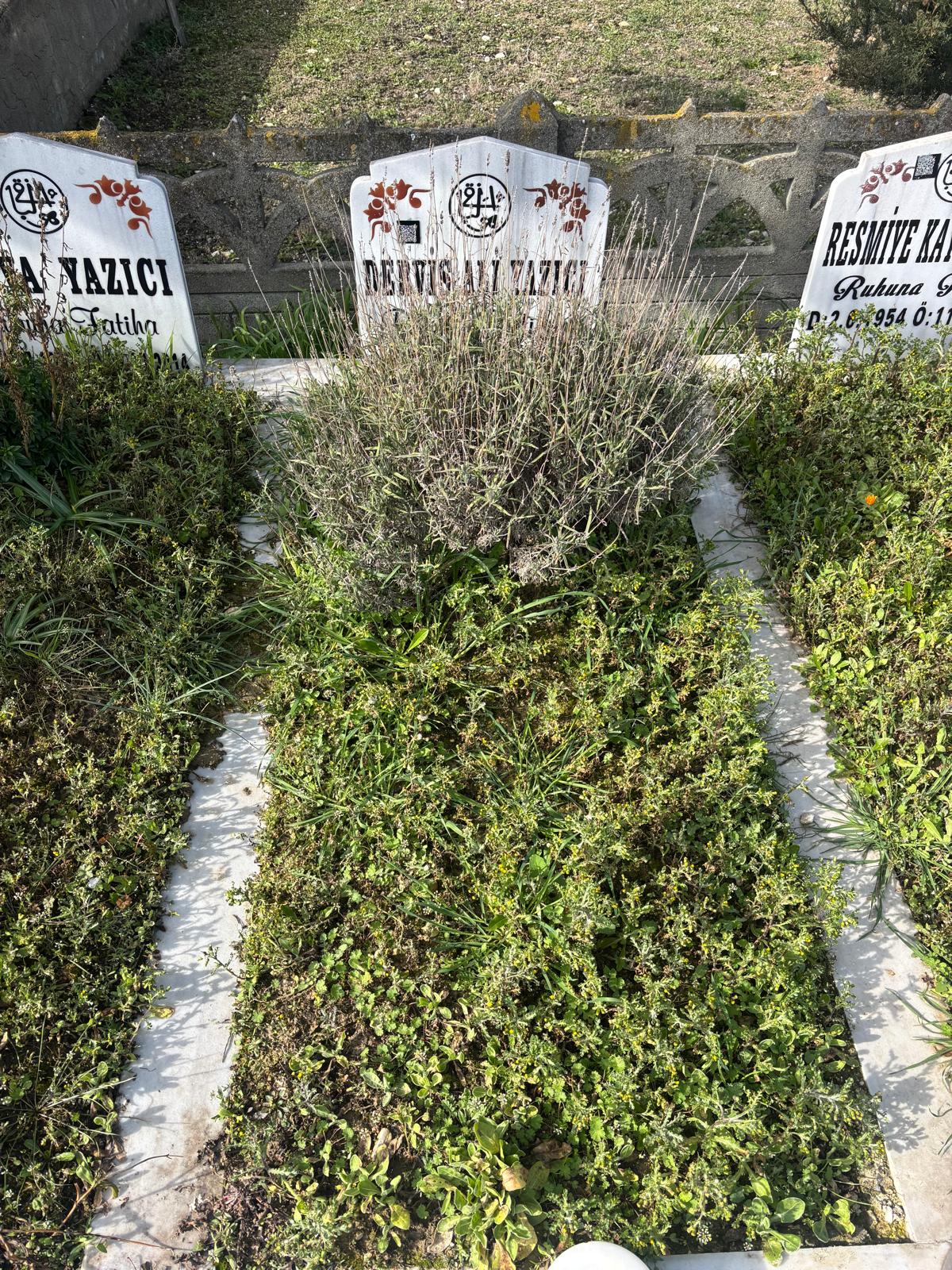 DERVİŞ ALİ YAZICI