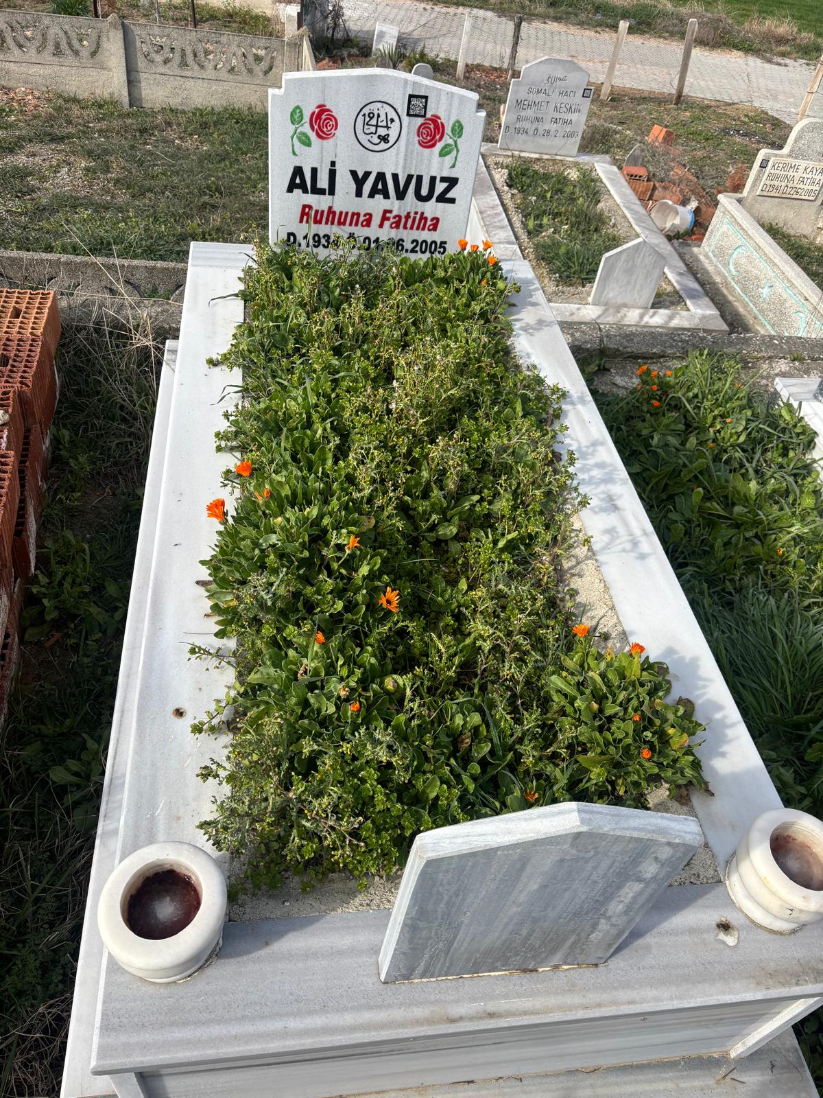 ALİ YAVUZ