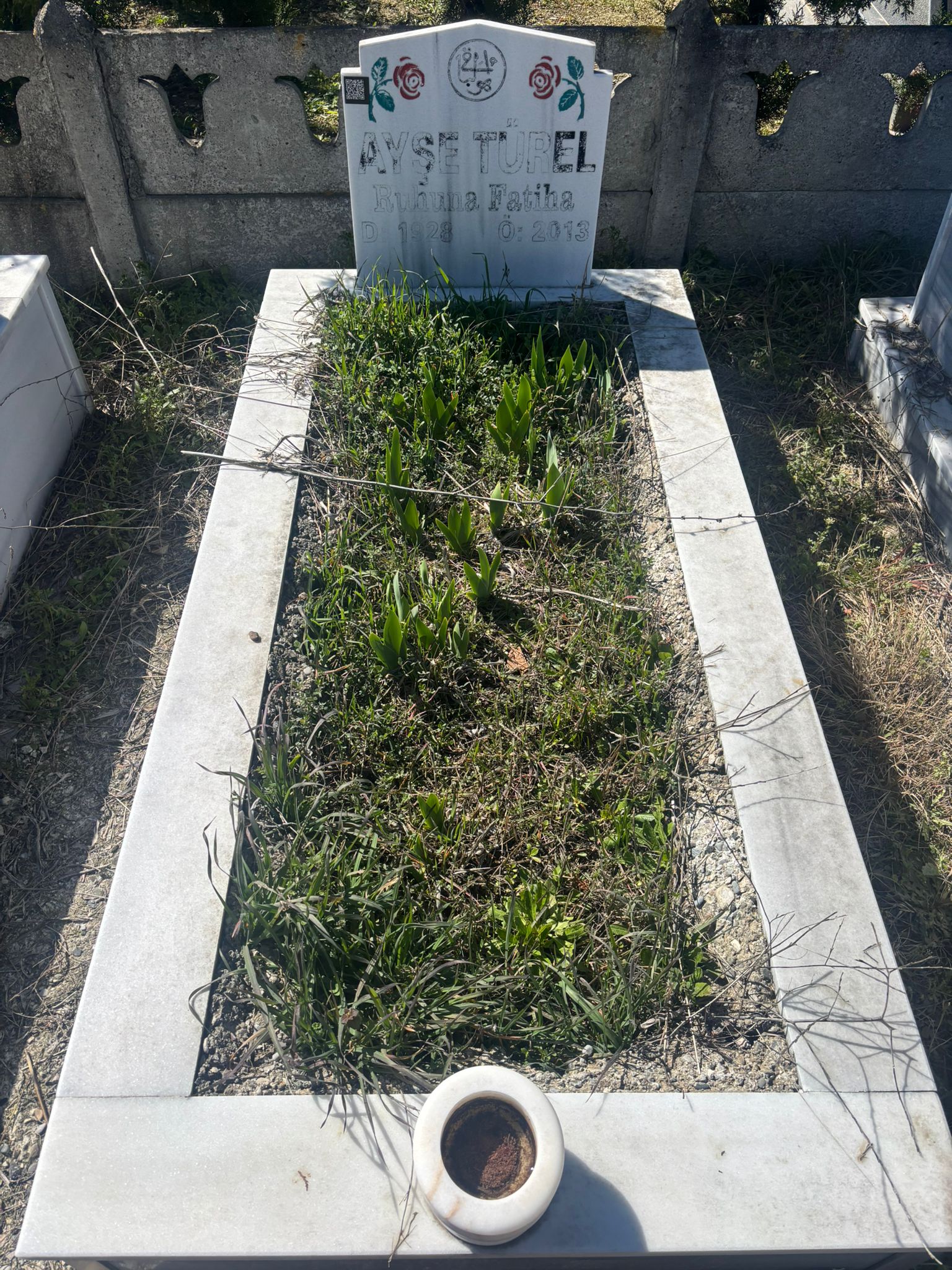 AYŞE TÜREL