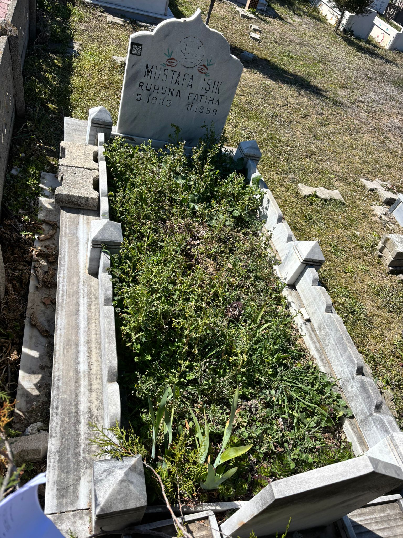 MUSTAFA IŞIK