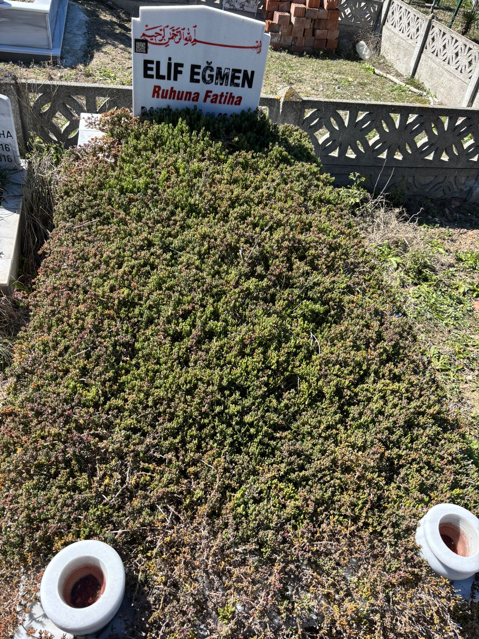 ELİF EĞMEN