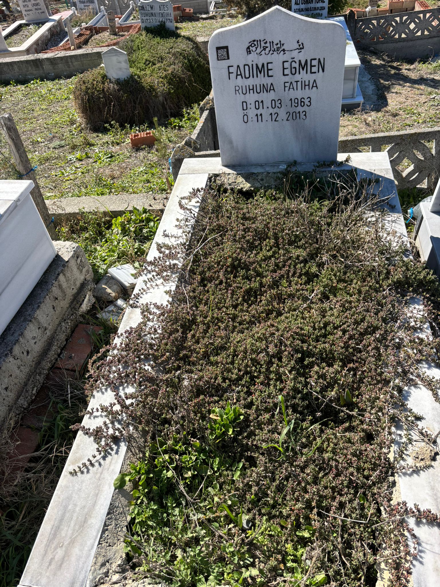 FADİME EĞMEN
