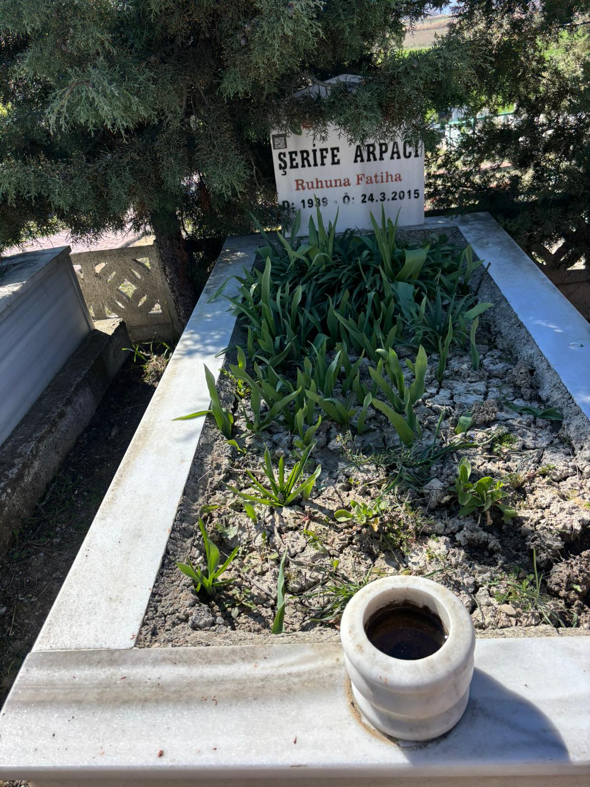ŞERİFE ARPACI