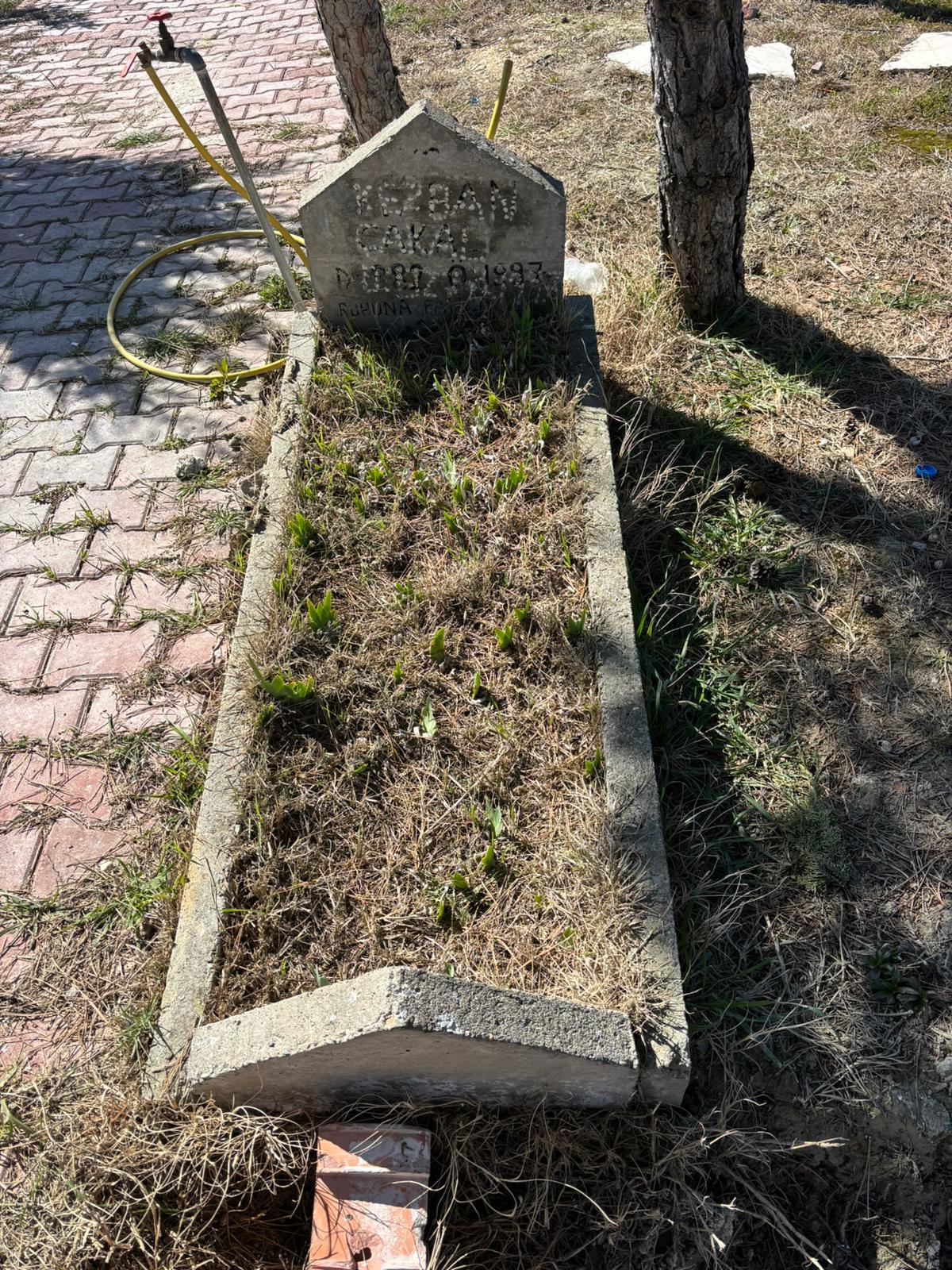 KEZİBAN ÇAKAL