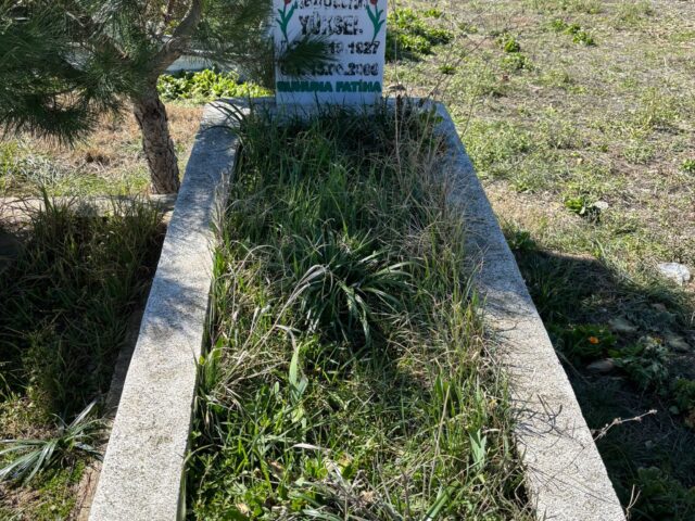 ABDULLAH YÜKSEL