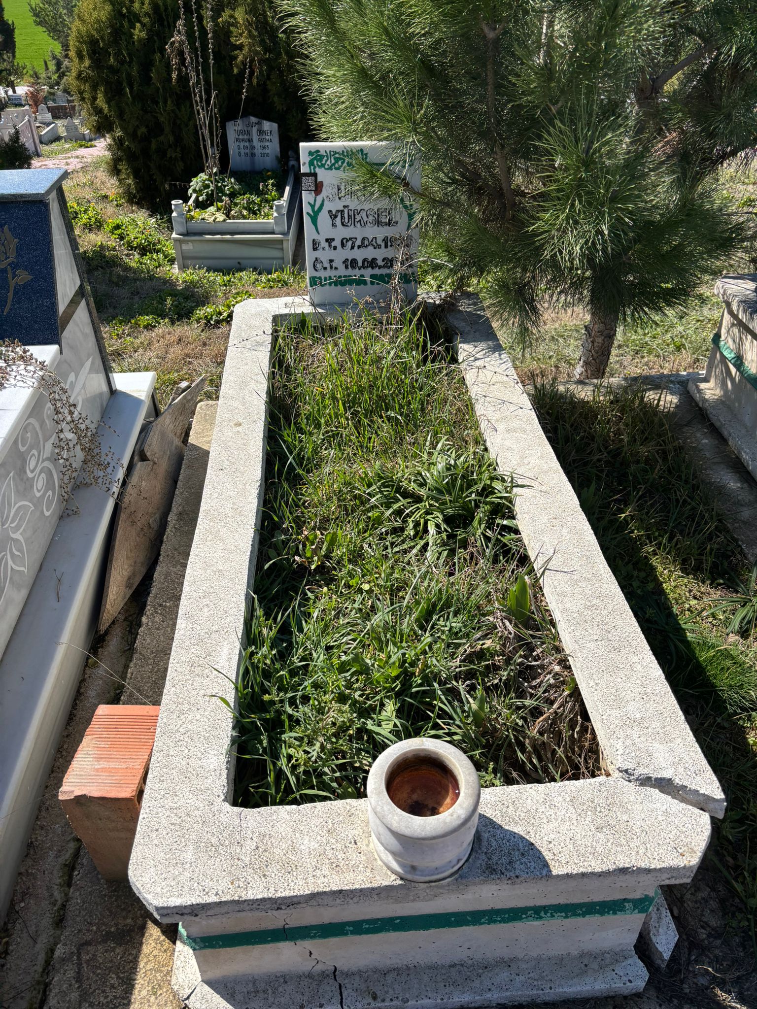 SÜNDÜZ YÜKSEL