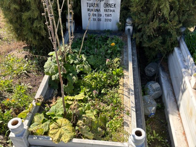 TURAN ÖRNEK
