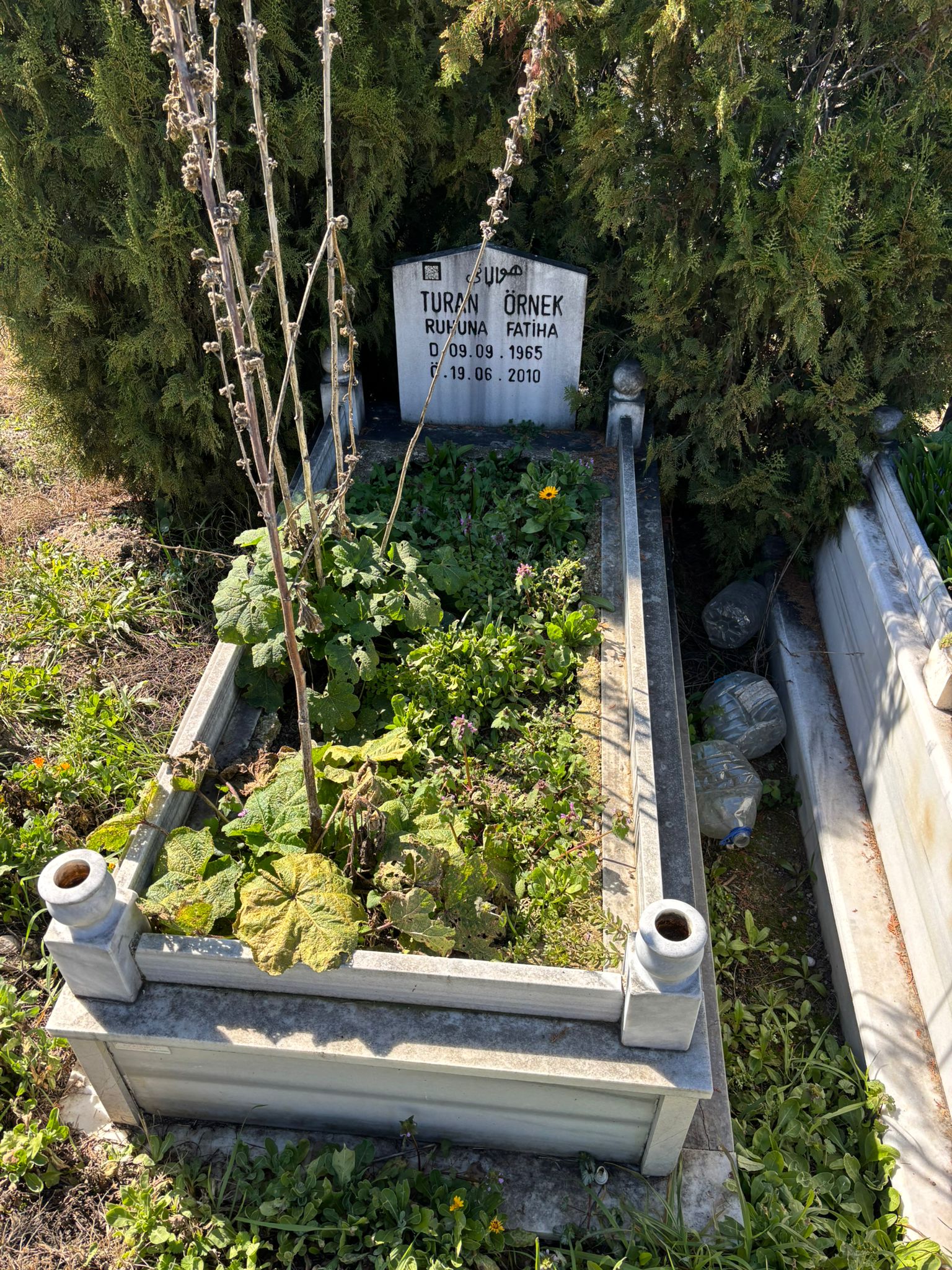 TURAN ÖRNEK