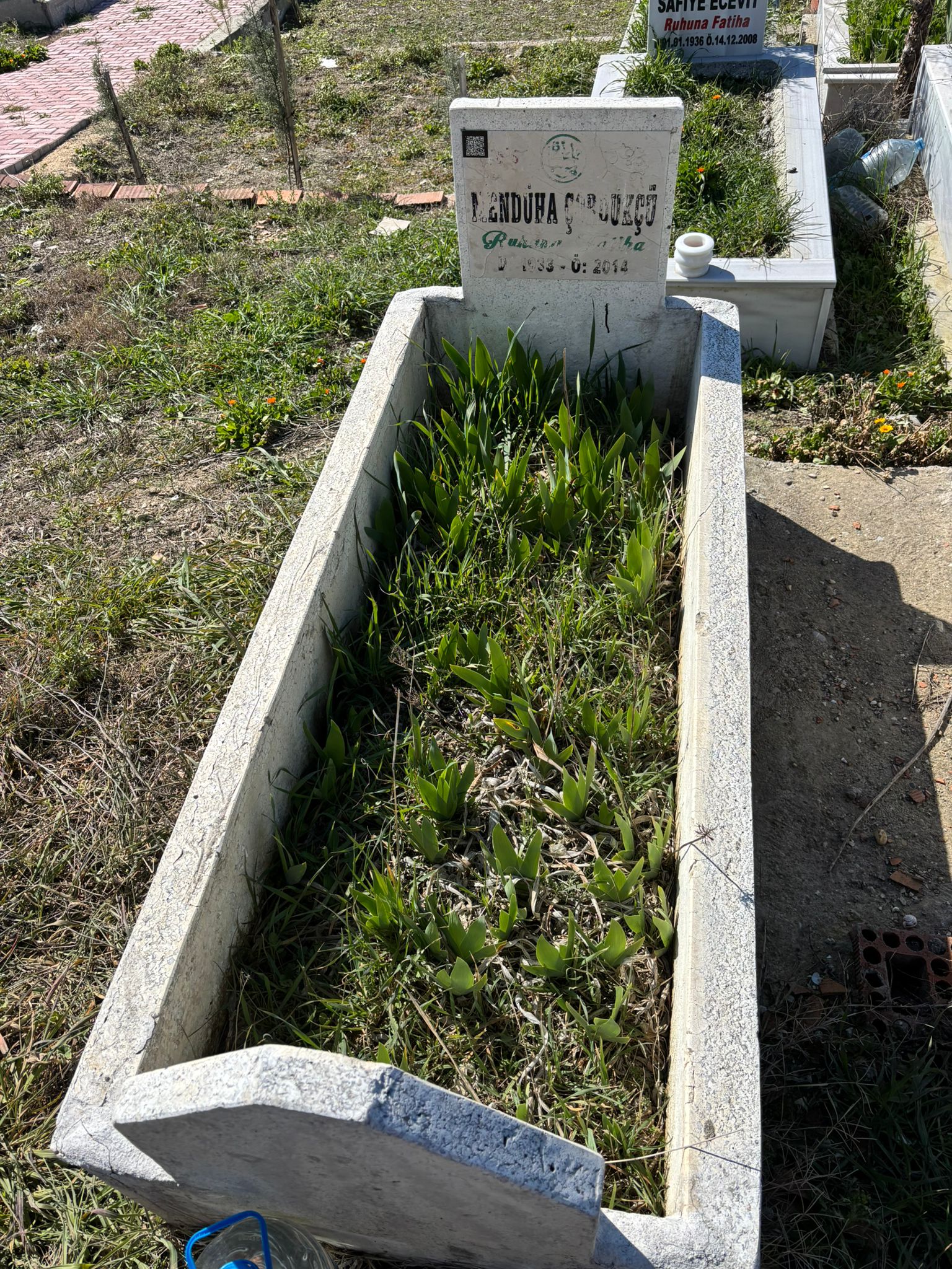 MENDUHA ÇÖRDÜKÇÜ