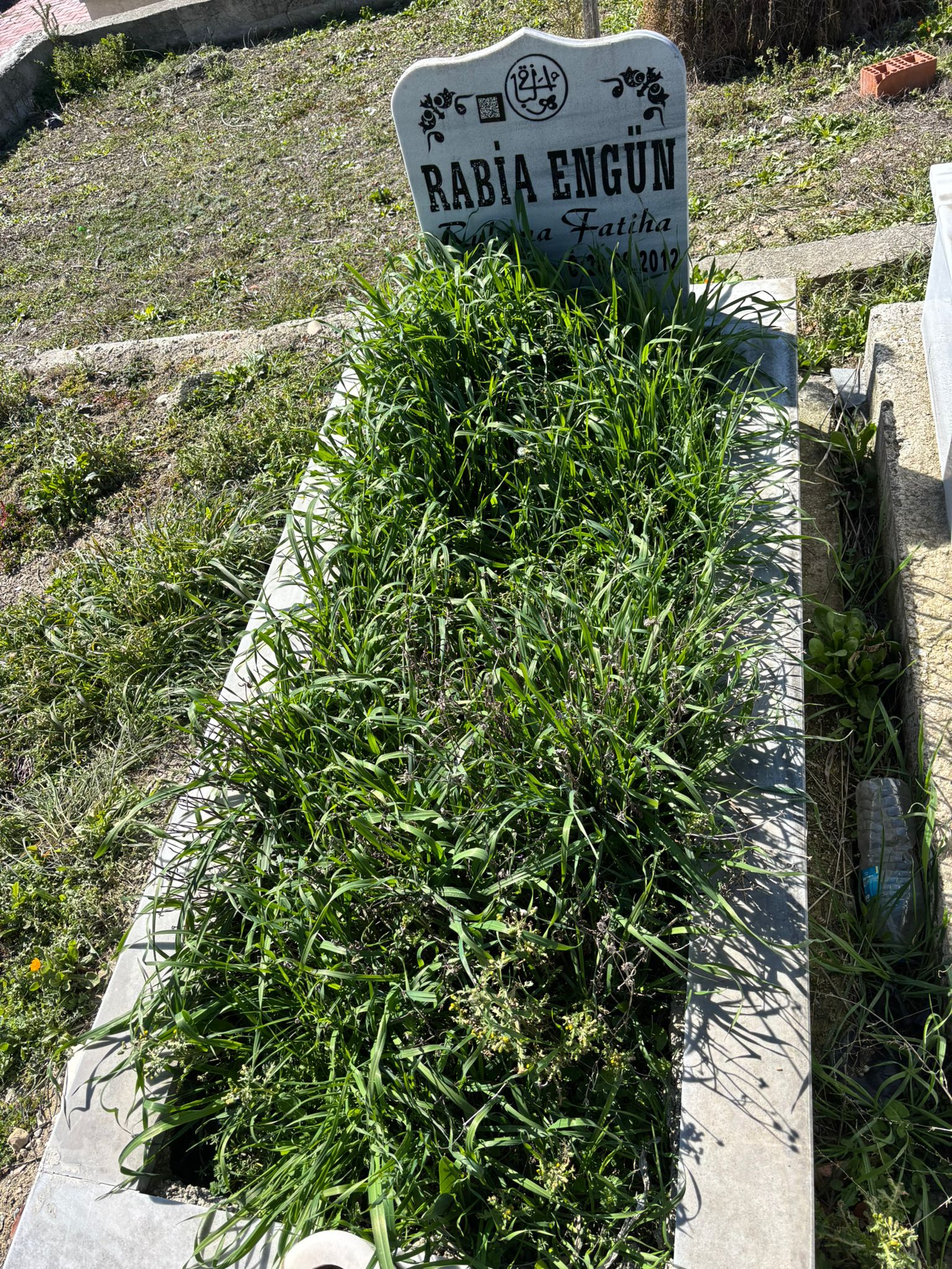 RABİA ENGÜN