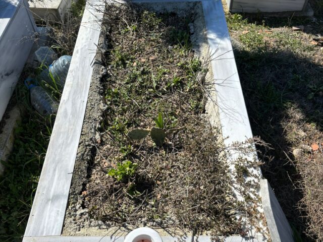 BEKİR SAMİ ECEVİT