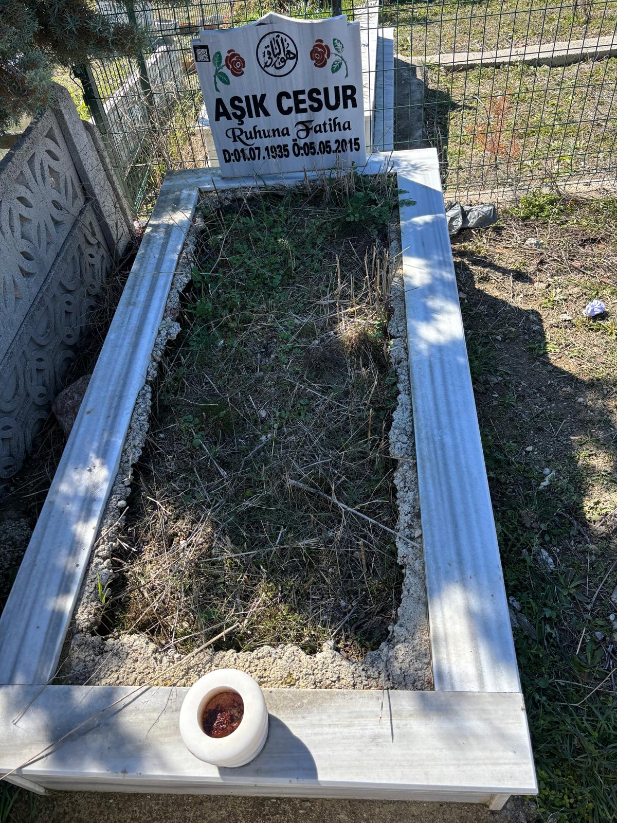 AŞIK CESUR