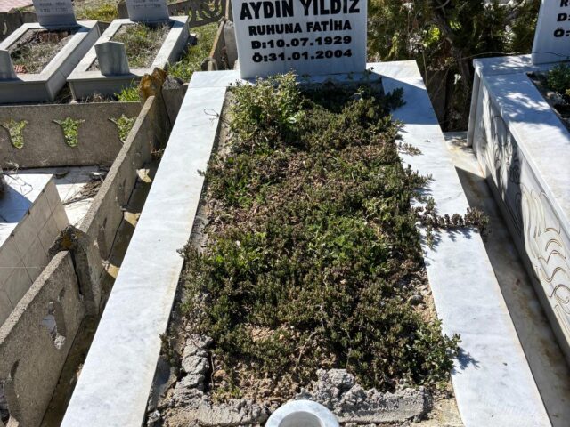 AYDIN YILDIZ