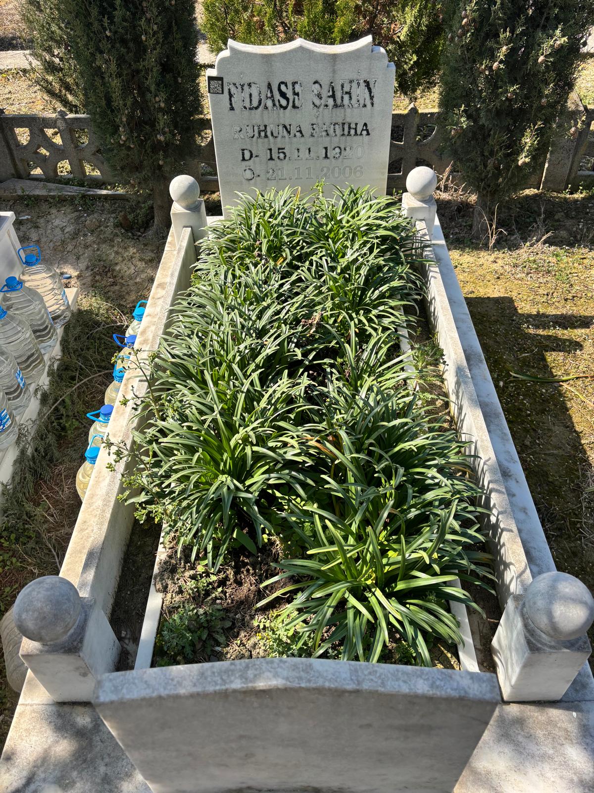 FİDASE ŞAHİN