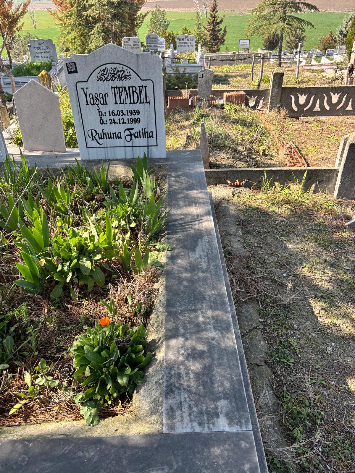 YAŞAR TEMBEL